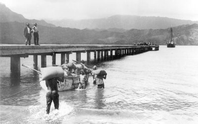 The History of Hanalei Valley